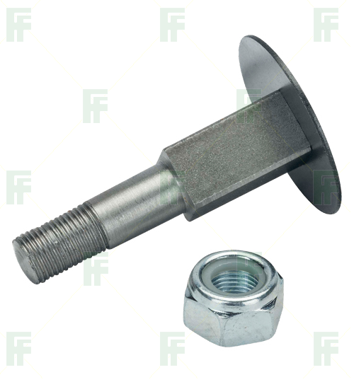 bahcor337e.jpg