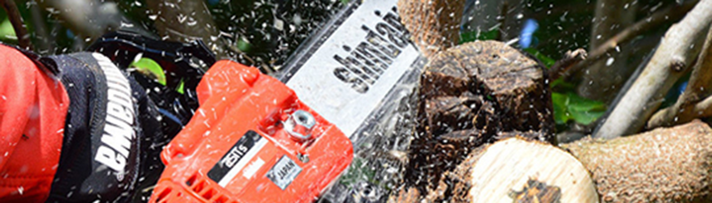 shindaiwa-finepagina-01.png